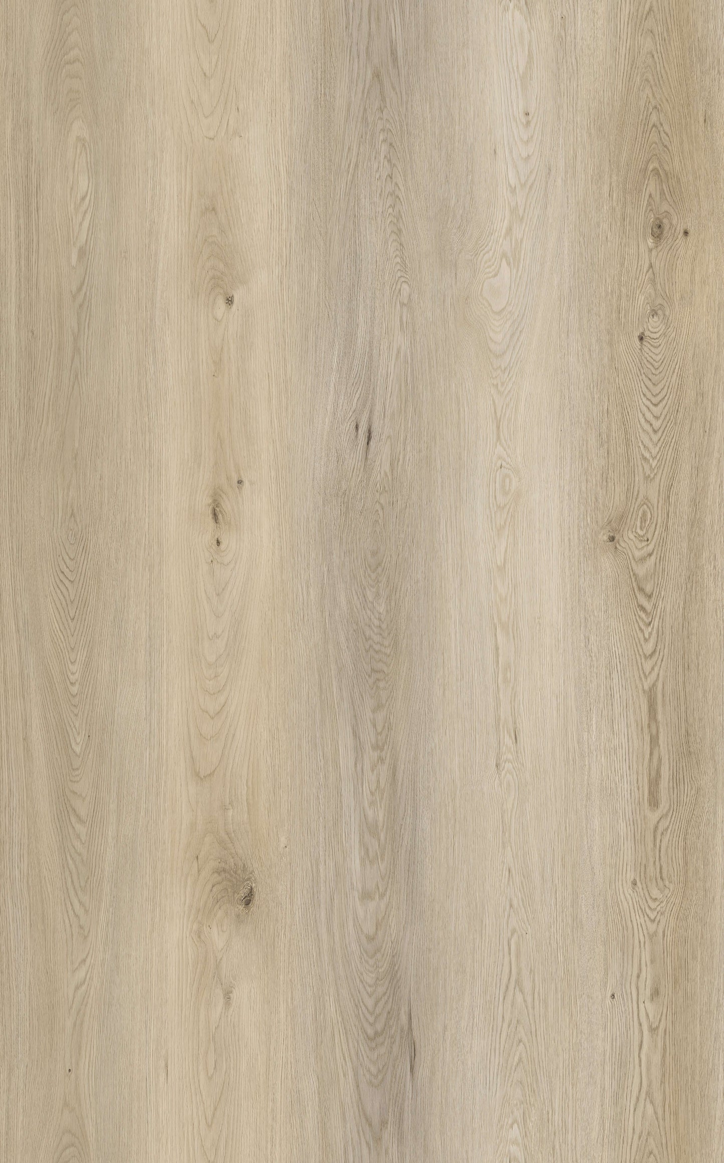 Ditai Plak PVC XL plank 23002XL – van iVloer Vianen