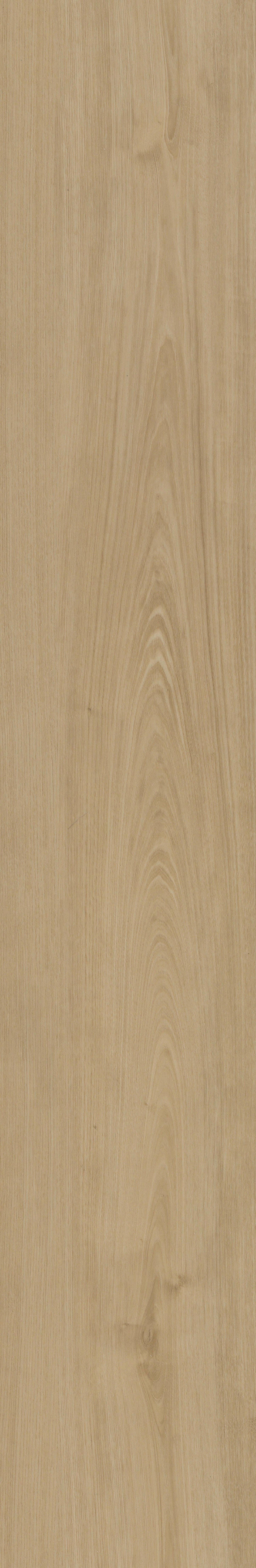 Belakos Plak PVC XL plank Portico 560 – van iVloer Vianen