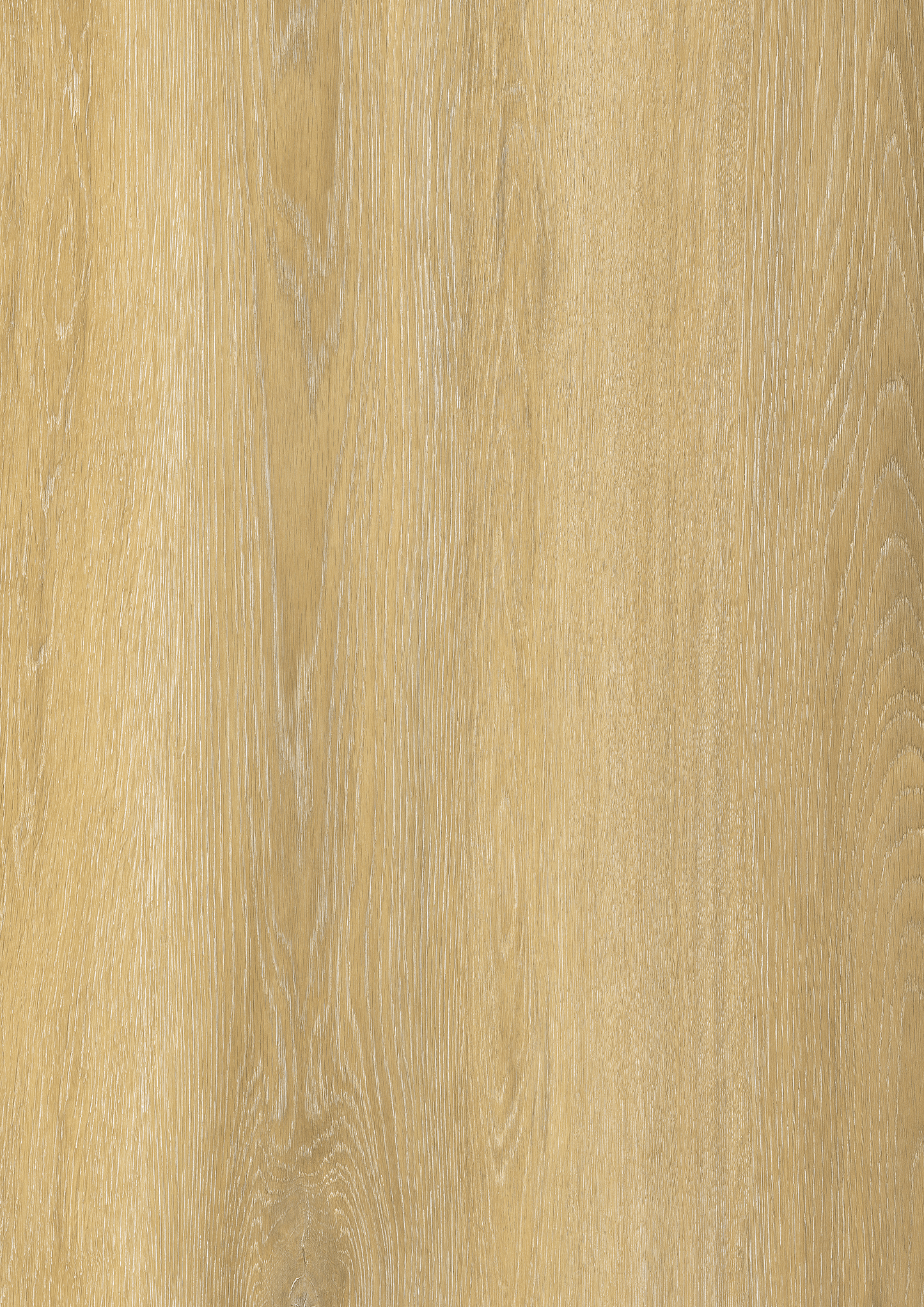 Ditai Plak PVC XL plank 23008XL