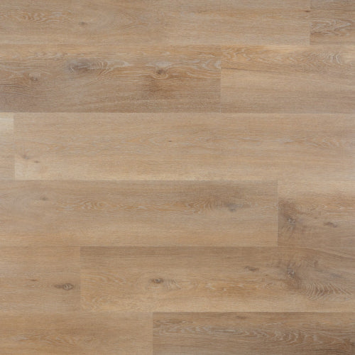 Otium Lily plank Dry back